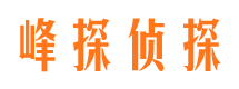 集安侦探